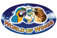 World of Wings Birds of Prey